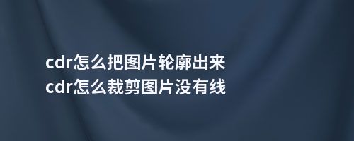 cdr怎么把图片轮廓出来cdr怎么裁剪图片没有线