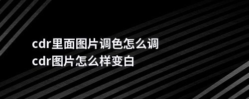 cdr里面图片调色怎么调cdr图片怎么样变白