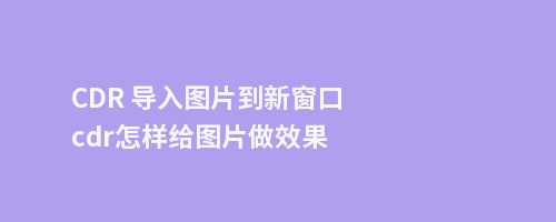 CDR 导入图片到新窗口cdr怎样给图片做效果