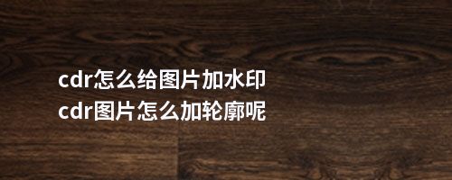 cdr怎么给图片加水印cdr图片怎么加轮廓呢