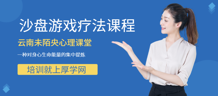 沙盘游戏疗法咨询师——初级课程工作坊