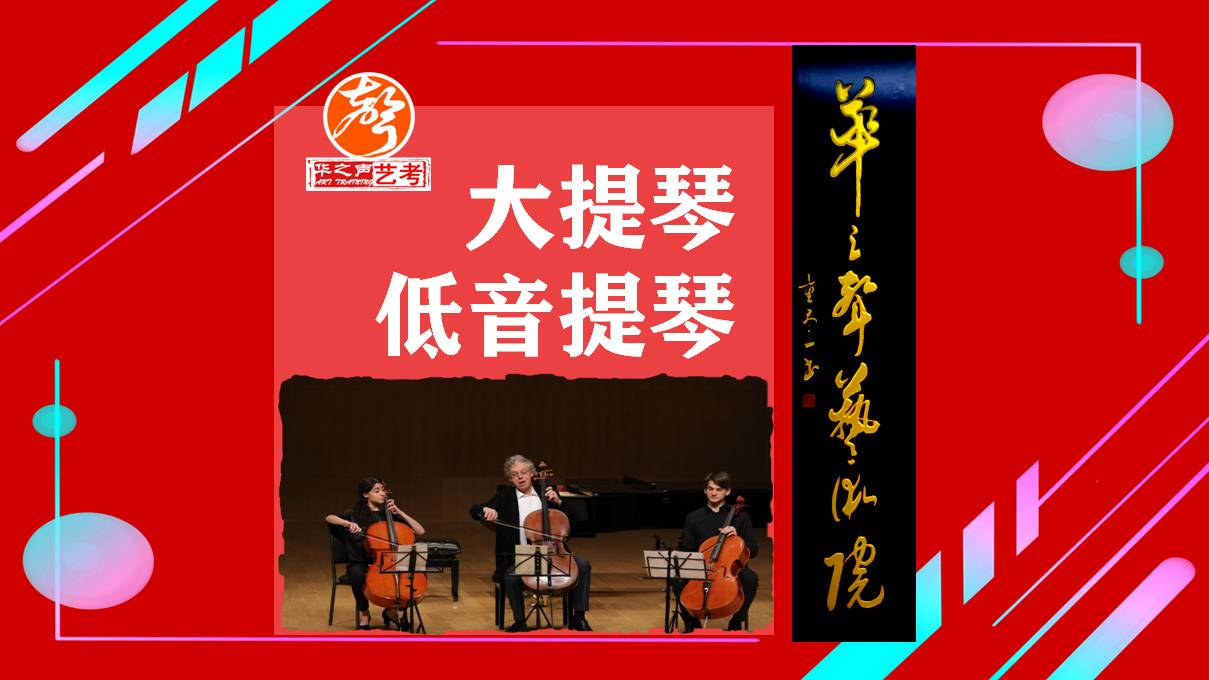 深圳大提琴/低音提琴艺考考级兴趣培训