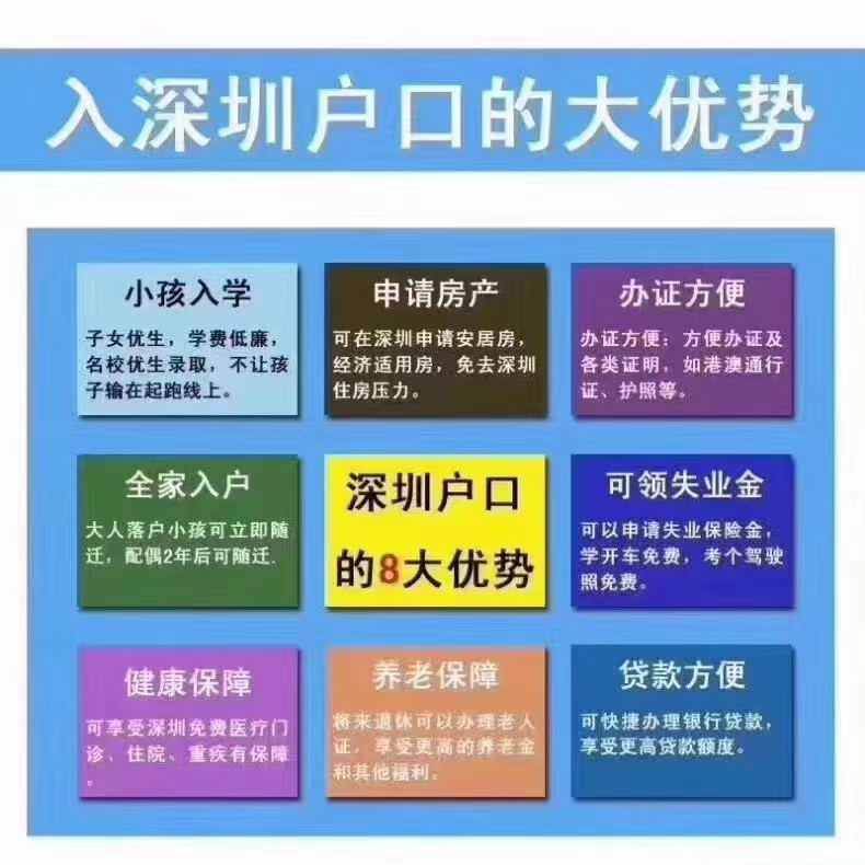 深圳博世教育